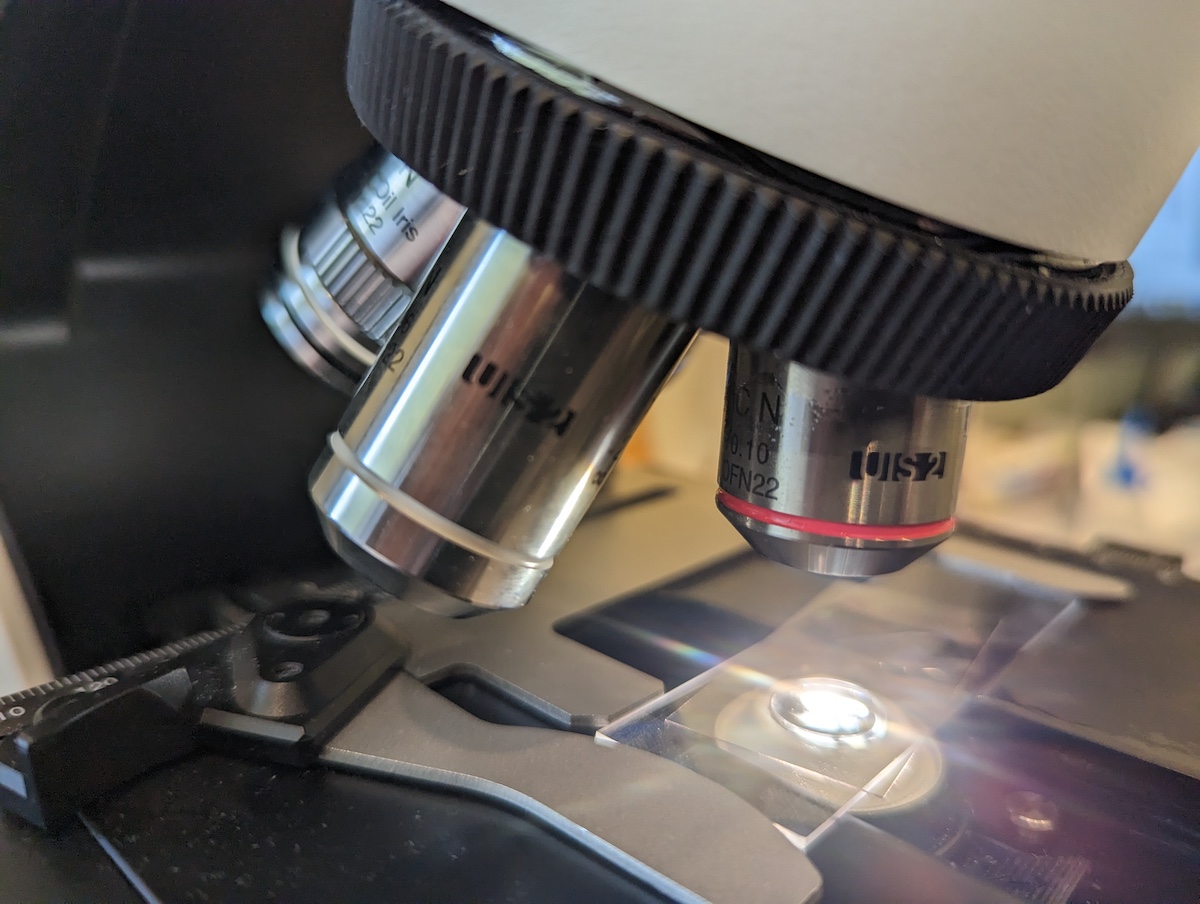 microscope